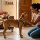 Especialistas em adestramento canino alertam: cumprimentar o cachorro assim que você entra em casa pode ser a “semente” de maus hábitos