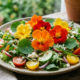 Essa planta ornamental tem flores e folhas totalmente comestíveis: de sabor picante, ela atua como um antibiótico natural para a horta