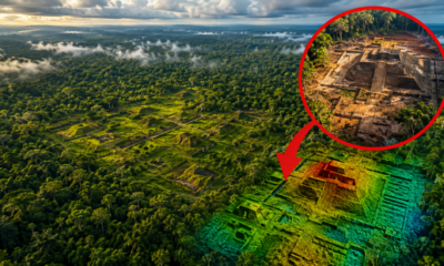 Satélite enviado sobre a Amazônia encontra uma concentração gigantesca com milhões de árvores distribuídas por uma área de 300 quilômetros quadrados