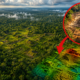 Satélite enviado sobre a Amazônia encontra uma concentração gigantesca com milhões de árvores distribuídas por uma área de 300 quilômetros quadrados