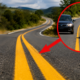 O que significa a faixa dupla amarela pintada no centro da rodovia que muitos motoristas interpretam de forma errada
