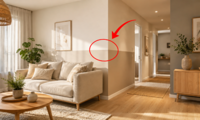 Adeus paredes coloridas: a nova onda minimalista para deixar a casa mais sofisticada em um dia e sem reformas caras