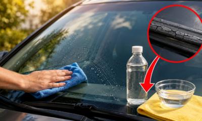 Vinagre no para-brisa do carro: o que ele pode fazer e quando evitar o uso