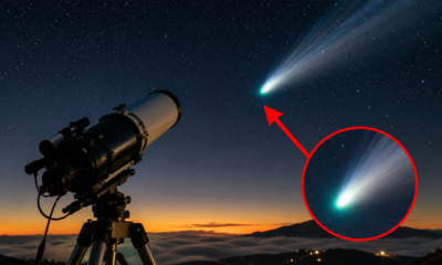 Cometa do sistema solar externo se aproxima da Terra e oferece uma rara chance de observação