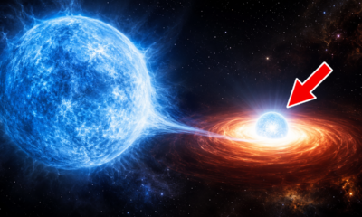 Após mais de 50 anos de mistério, o XRISM identificou uma anã branca orbitando Gamma Cassiopeiae. O material da estrela alimenta o objeto e produz os raios X extremos