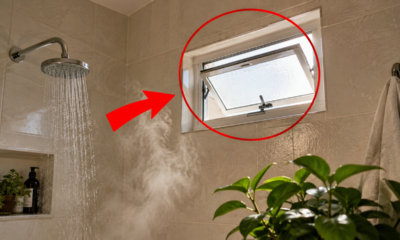 Por que sempre fazemos uma pequena janela no banheiro e qual é a função dela na ventilação da casa?