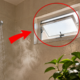 Por que sempre fazemos uma pequena janela no banheiro e qual é a função dela na ventilação da casa?
