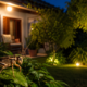 Se você ouve grilos em sua casa ou jardim durante a noite, nós explicamos o que isso significa e por que é bom