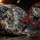 Em 1724, um meteorito caiu na Alemanha: ele abriga um material que desafia as leis da física
