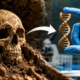 A análise de DNA de antigos "caçadores-coletores" poderia explicar por que algumas pessoas vivem até os 100 anos de idade