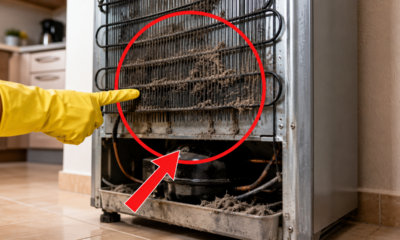 A cozinha fica com cheiro de comida mesmo com limpeza frequente? O ponto atrás da geladeira que quase ninguém verifica pode estar espalhando odores pelo ambiente
