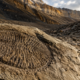 Cientistas canadenses encontram fósseis de 600 milhões de anos preservados em camadas de gelo e descoberta recua em 80 milhões de anos a história desses organismos