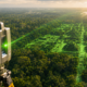 Mapeamentos a laser revelaram estruturas pré-colombianas escondidas pela vegetação, incluindo vias, canais e áreas urbanas ligadas por redes regionais na Amazônia antiga