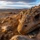 Pesquisadores argentinos encontram fósseis de 70 milhões de anos escondidos em camadas de arenito e descoberta revela detalhes inéditos sobre a evolução desses dinossauros