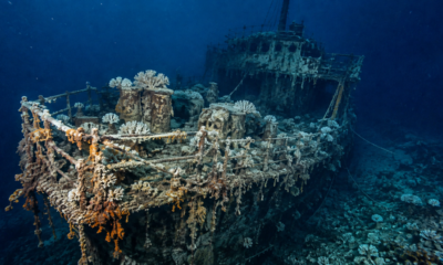 O naufrágio de um cargueiro britânico da Primeira Guerra Mundial, raro no mundo, descoberto quase intacto no fundo do mar na Itália