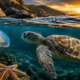 Por que quase todos os animais na Terra têm corpos simétricos?
