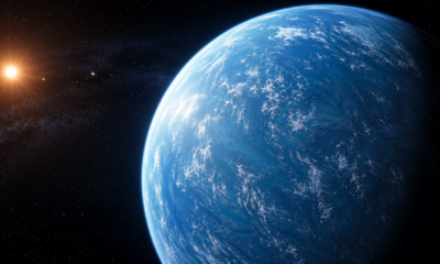 Um exoplaneta localizado a cerca de 100 anos-luz da Terra, TOI-1452 b, é considerado um mundo oceânico