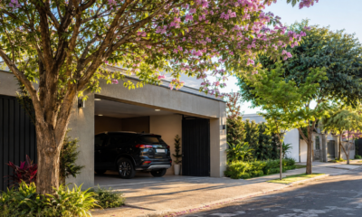 Morador planta árvores ao redor da garagem para reduzir o calor e descobre qual distância manter para evitar que as raízes levantem e quebrem a calçada