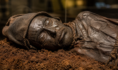 O homem de Tollund encontrado em 1950 em um pântano da Dinamarca e que revelou roupas, corpo e características pessoais preservados por mais de 2 mil anos