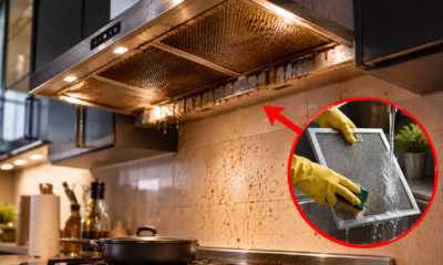 A cozinha fica engordurada mesmo com limpeza frequente? O ponto acima do fogão que quase ninguém verifica pode estar espalhando gordura pelo ambiente