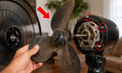 O ventilador começa a fazer muito barulho durante o uso: antes de comprar um aparelho novo, existe uma verificação simples que muita gente esquece de fazer
