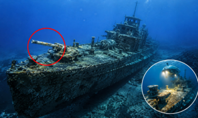O naufrágio de um torpedeiro alemão da Segunda Guerra Mundial, único no mundo, descoberto quase intacto no fundo do mar na Grécia