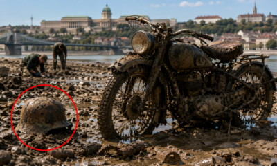 Após 80 anos, Danúbio revela motocicleta e restos de soldados da Segunda Guerra Mundial