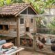 Quanto custa construir um galinheiro para 10 galinhas do zero: preço dos materiais, equipamentos e compra das aves