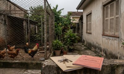 Família cria 14 galinhas no quintal de uma casa geminada, o cheiro e o barulho do galo às 4h tiram o sono da vizinhança por 2 anos, e o juiz determina a retirada dos animais com multa diária de R$ 500 em caso de descumprimento