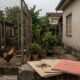 Família cria 14 galinhas no quintal de uma casa geminada, o cheiro e o barulho do galo às 4h tiram o sono da vizinhança por 2 anos, e o juiz determina a retirada dos animais com multa diária de R$ 500 em caso de descumprimento