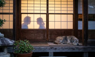 Provérbio japonês que fala sobre casamento: “Uma discussão entre marido e mulher é algo que nem o cachorro deseja comer, porque o conflito de hoje pode terminar antes que os outros compreendam o que aconteceu”; lições sobre privacidade, reconciliação e interferência familiar