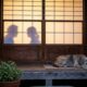 Provérbio japonês que fala sobre casamento: “Uma discussão entre marido e mulher é algo que nem o cachorro deseja comer, porque o conflito de hoje pode terminar antes que os outros compreendam o que aconteceu”; lições sobre privacidade, reconciliação e interferência familiar