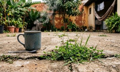 Coloque um copo de água sobre o chão: o truque de 5 minutos que ajuda a eliminar ervas daninhas entre pisos e calçadas