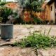 Coloque um copo de água sobre o chão: o truque de 5 minutos que ajuda a eliminar ervas daninhas entre pisos e calçadas