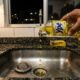 O truque mais usado por faxineiras antes de dormir: apenas 6 gotas de detergente no ralo podem mudar tudo pela manhã