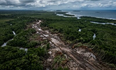 Homem de 74 anos abre uma estrada de 2 km dentro de um parque nacional só para chegar de carro ao ponto de pesca, destrói 19 mil metros quadrados de mangue e recebe multa de R$ 145 mil mais a ordem de recuperar tudo por conta própria