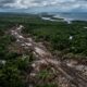 Homem de 74 anos abre uma estrada de 2 km dentro de um parque nacional só para chegar de carro ao ponto de pesca, destrói 19 mil metros quadrados de mangue e recebe multa de R$ 145 mil mais a ordem de recuperar tudo por conta própria