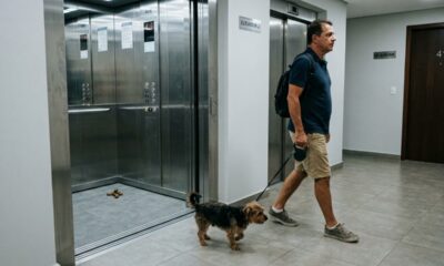 Cachorro faz cocô no elevador oito vezes em um mês, tutor ignora as advertências e recebe multa maior que a própria taxa de condomínio