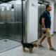 Cachorro faz cocô no elevador oito vezes em um mês, tutor ignora as advertências e recebe multa maior que a própria taxa de condomínio