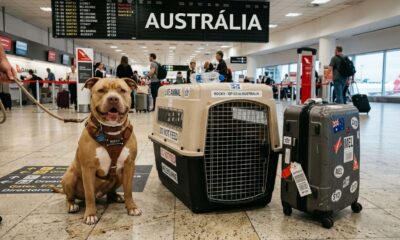 Mulher toma decisão radical e se muda 14.500 km para permanecer com o cão que ama