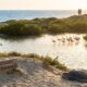 Um casal mexicano comprou uma fazenda de coqueiros falida há 30 anos: o terreno baldio de 140 hectares agora é um refúgio para tartarugas, golfinhos e flamingos