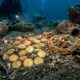 O tesouro de ouro foi enterrado no Mar Mediterrâneo por 1.300 anos