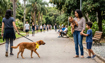 Fita amarela na coleira do cachorro: entenda o significado desse sinal e como agir ao encontrar um animal usando