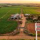 Arrendatário cultiva a terra por 10 anos, o dono vende a fazenda sem avisar, e ele descobre que tinha direito de preferência na compra pelo Estatuto da Terra