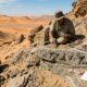 Eles exploram o deserto egípcio e encontram um cemitério de tubarões a 700 km da costa mais próxima