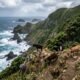 Em 1889, soltaram apenas 4 cabras em uma ilha perto da Nova Zelândia para servir de alimento em emergências, mas menos de 60 anos depois, centenas de animais precisaram ser retirados após grandes danos ambientais