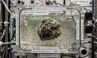 Um meteorito foi enviado para a ISS e algo inesperado aconteceu