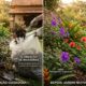 Lindas, mas traiçoeiras: o cultivo dessas plantas no jardim pode resultar em multas altíssimas