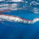 Guia turístico registra cena rara de “peixes do apocalipse” nadando na superfície e imagens impressionam