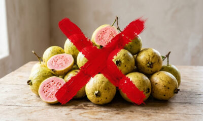 Adeus, goiaba: essa fruta nativa de casca amarela e polpa suculenta tem sabor de doce com queijo e atrai dezenas de passarinhos ao jardim